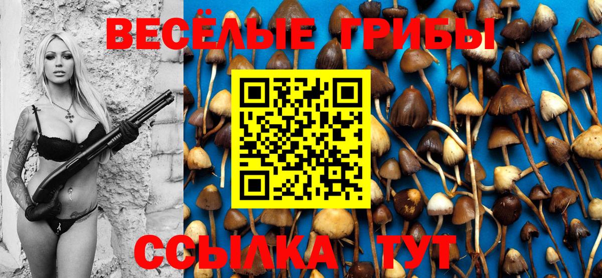 Псилоцибиновые грибы прущие грибы  Вход с VPN  Тихорецк 
